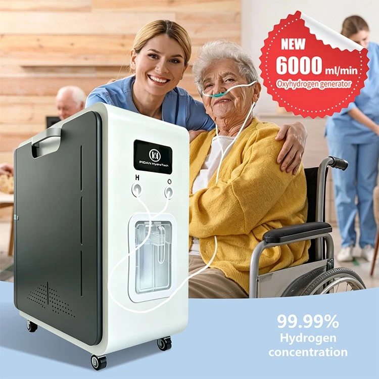 At Home Hydrogen Generator suppliers