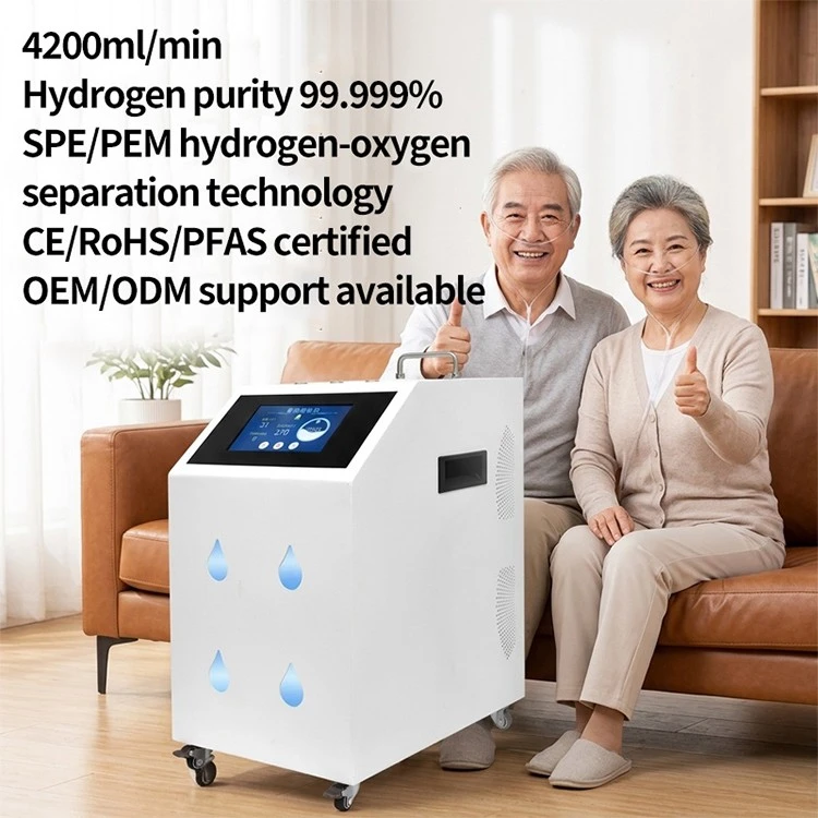 High Purity Hydrogen Gas Generator high quality