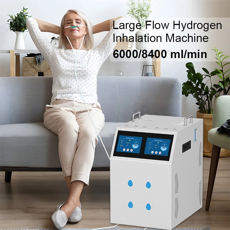 High Purity Hydrogen Generator suppliers