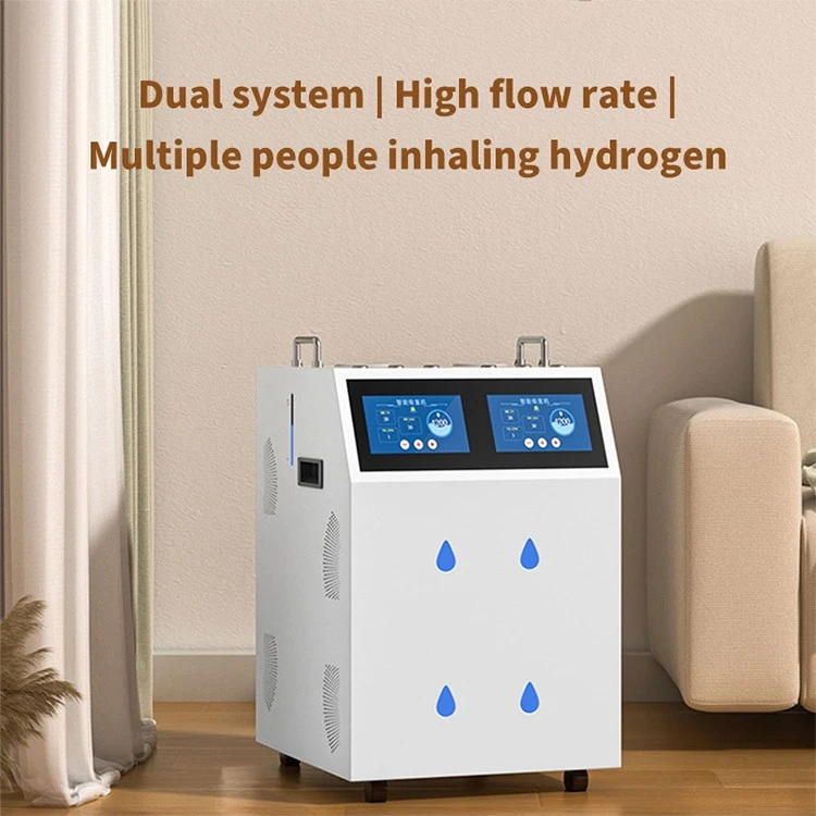 High Purity Hydrogen Generator high quality