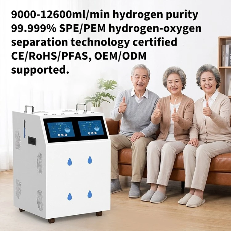 High Purity Hydrogen Generator best