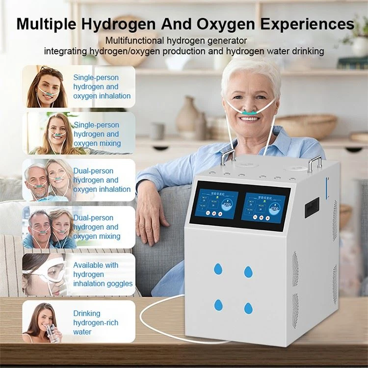 High Purity Hydrogen Generator factory