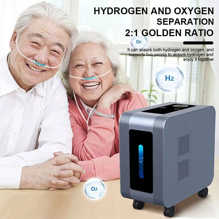 Hydrogen Absorption factory