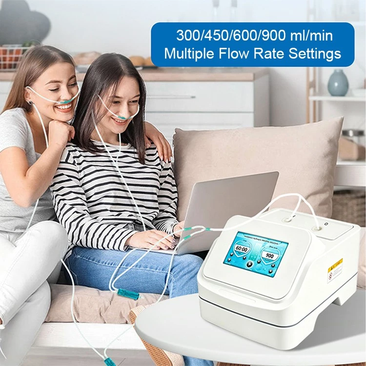 Mini Hydrogen Generator factory