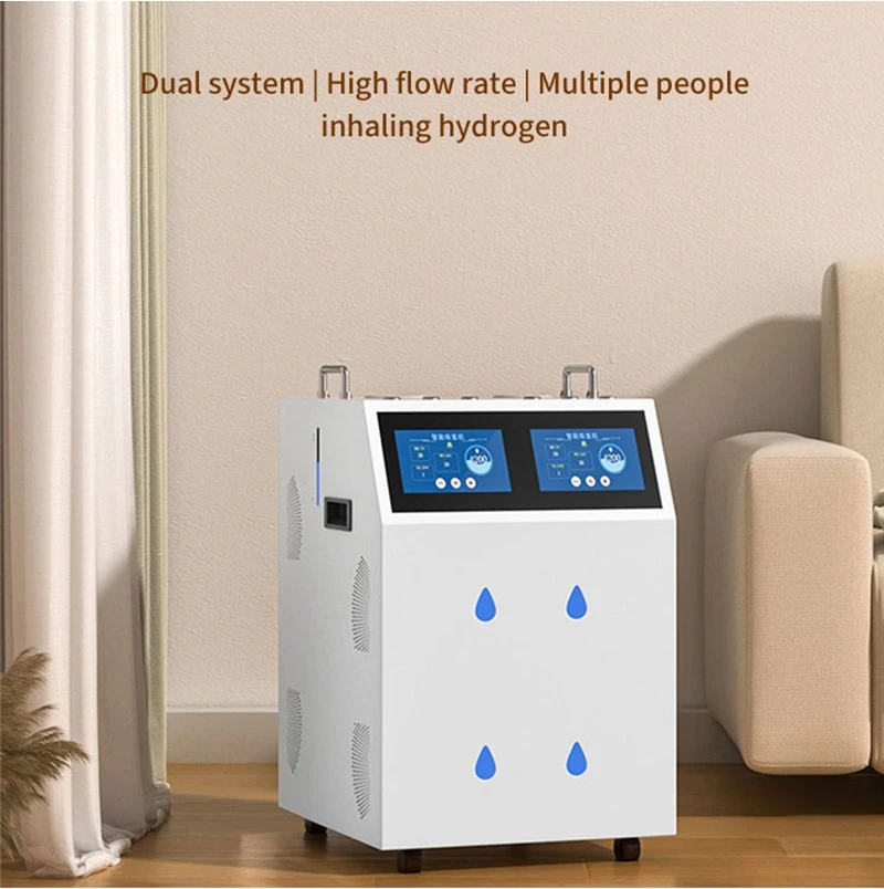 High-Purity-Hydrogen-Generator08 High-Purity-Hydrogen-Generator08