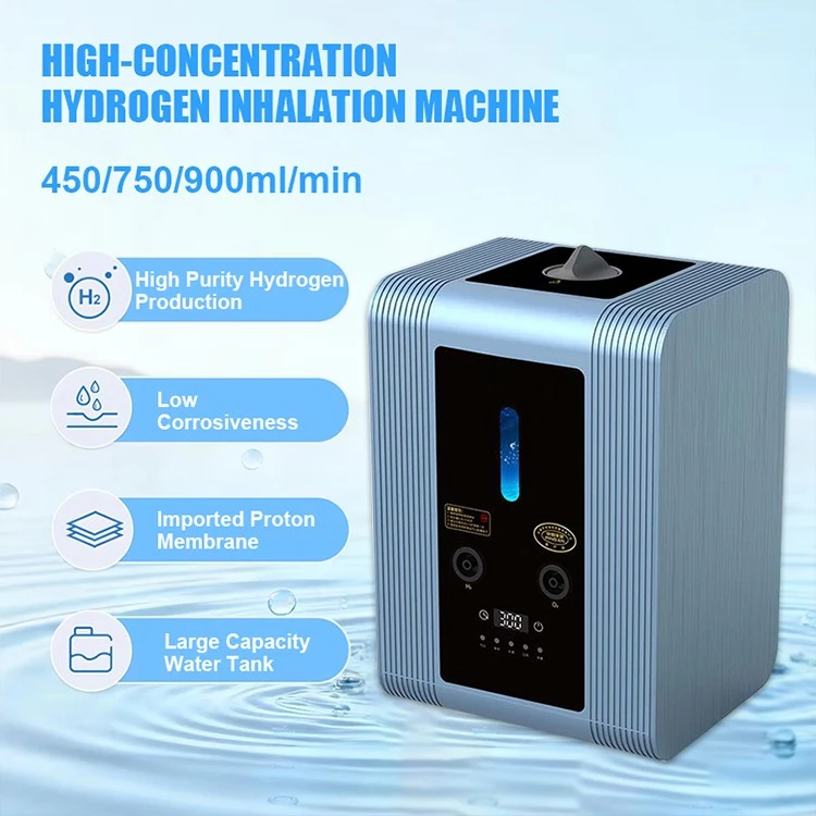 Pure Hydrogen Generator suppliers