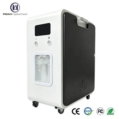 At Home Hydrogen Generator