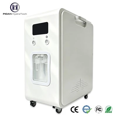 Home Hydrogen Generator