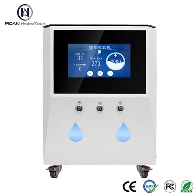 Water Electrolysis Hydrogen Generator