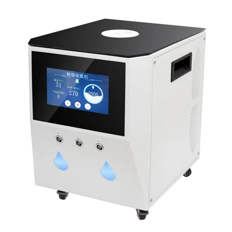 Water Electrolysis Hydrogen Generator suppliers