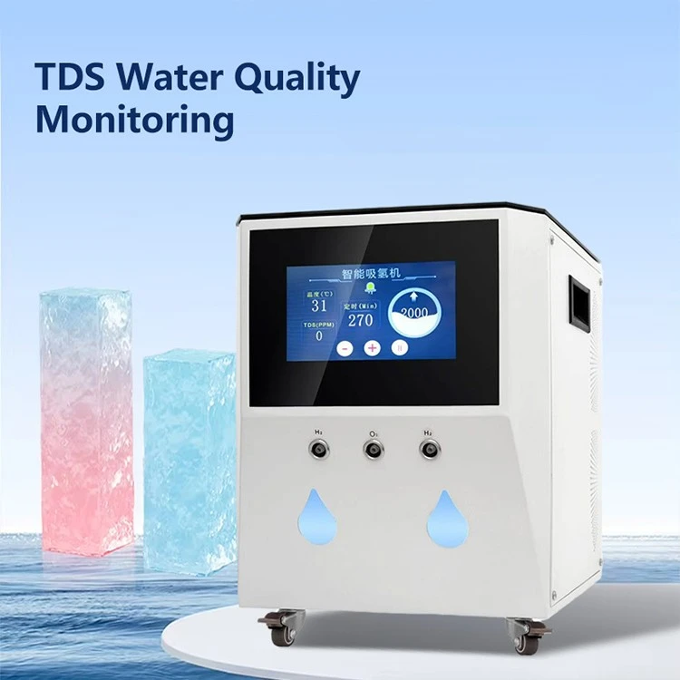 Water Electrolysis Hydrogen Generator factory