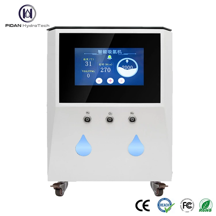 Water Electrolysis Hydrogen Generator